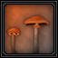 Infected Mushroom