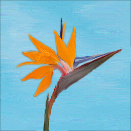 Strelitzia