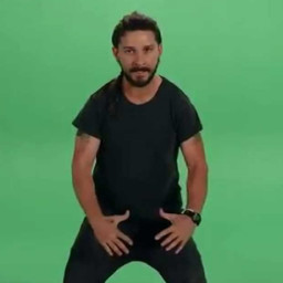 Shia LaBeouf