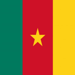 Flag of Cameroon