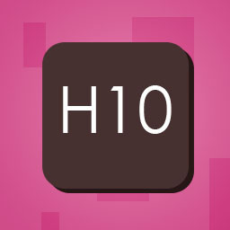 H10