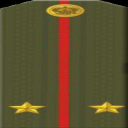 Lieutenant