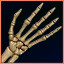 Skeleton Hands