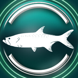 Atlantic tarpon