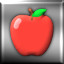 Silver Medal - Apple Level