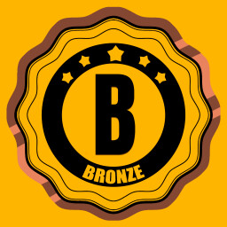 Drive License B Bronze