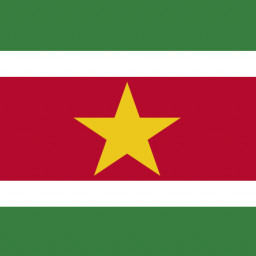 Flag of Suriname