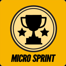 Micro Sprint Champion