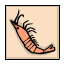 A shrimp