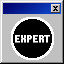 Expert