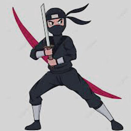 Are you a ninja?