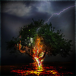 Lightning Tree