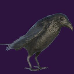 Crow