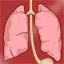 Healthy Lungs