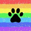 Rainbow Paw