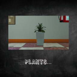 Plants