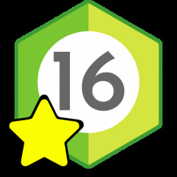 Level 16