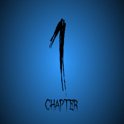 Chapter 1