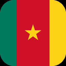 National Flag of Cameroon