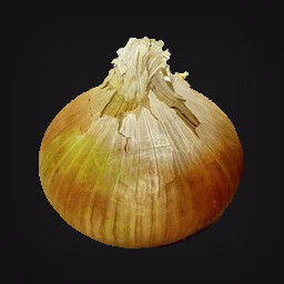 Onion.