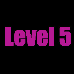 Level 5