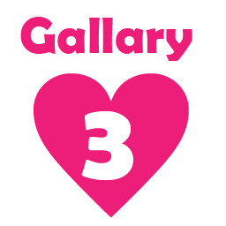 Gallery3