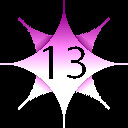 13