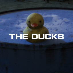 The Ducks