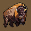 Bison