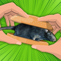 Turn a Rat into a Snack