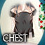 Chest