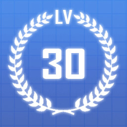 Level 30