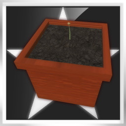 Seed: Beginner