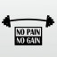 NO PAIN NO GAIN