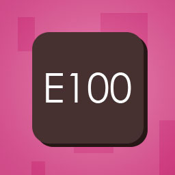 E100