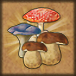 Excellent mushroom picker