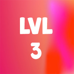 Level 3