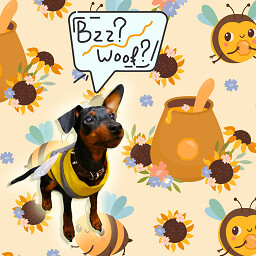 Bee or dog?