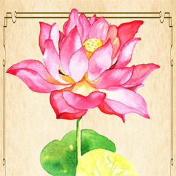 LOTUS_KING