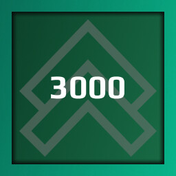 3000