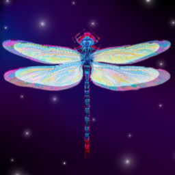 Dragonfly