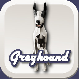 Greyhound