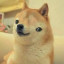 Doge 3