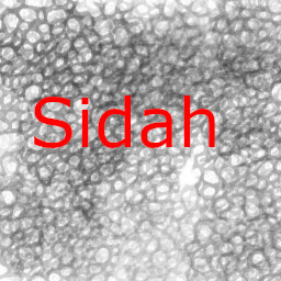 Saved Sidah