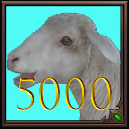 Hunted 5000: Domestic Sheep