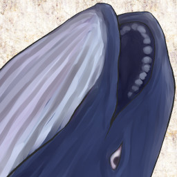 Kujira