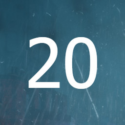 20