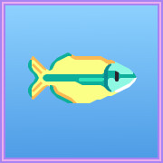 Tebera Rainbowfish