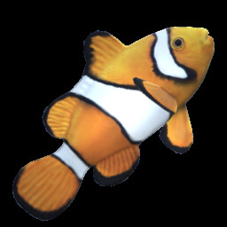 Clownfish