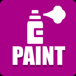 Paint 100 Car